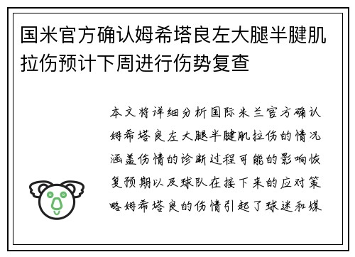 国米官方确认姆希塔良左大腿半腱肌拉伤预计下周进行伤势复查